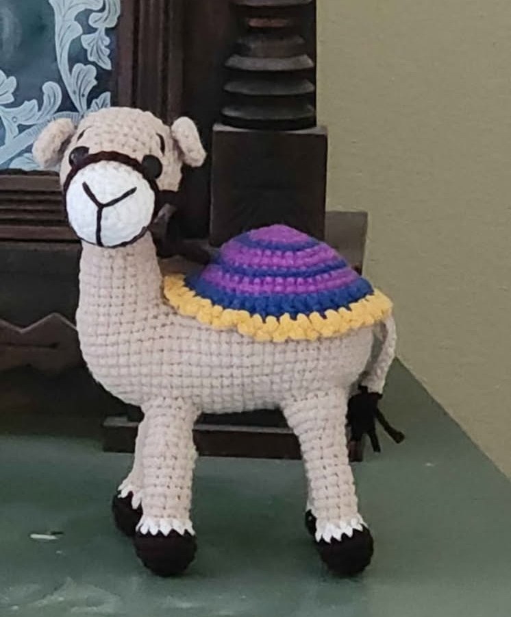 Camel