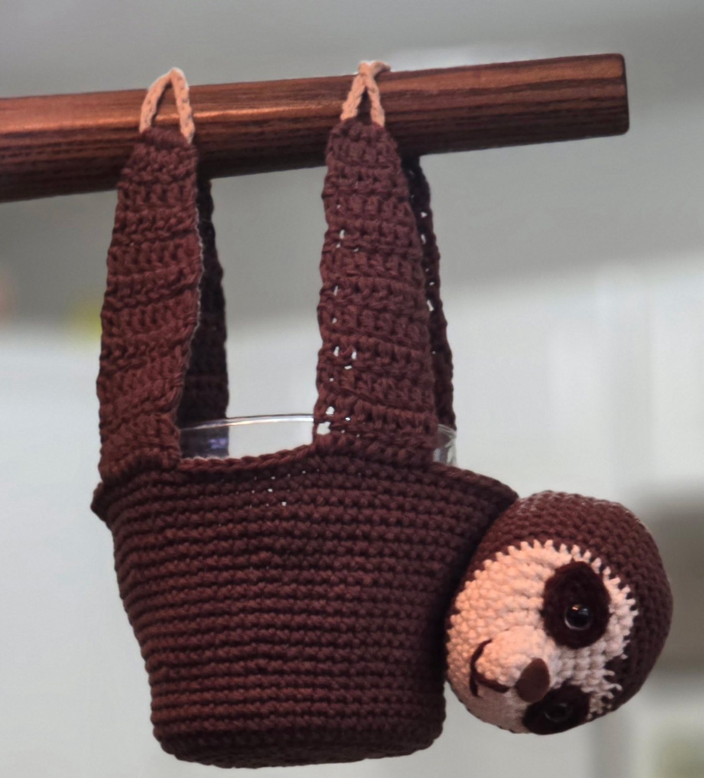 Hanging Sloth