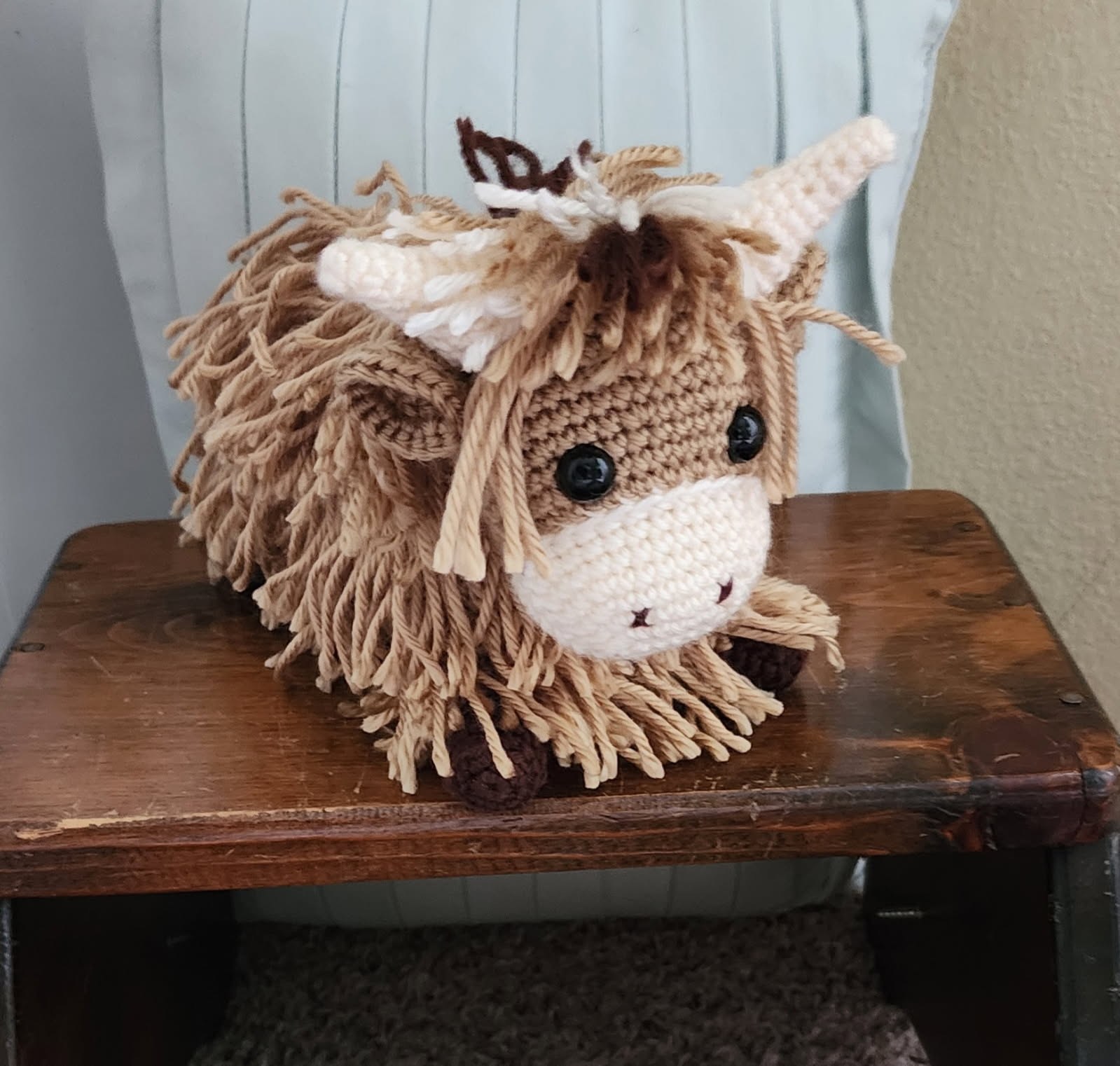 Highland Cow