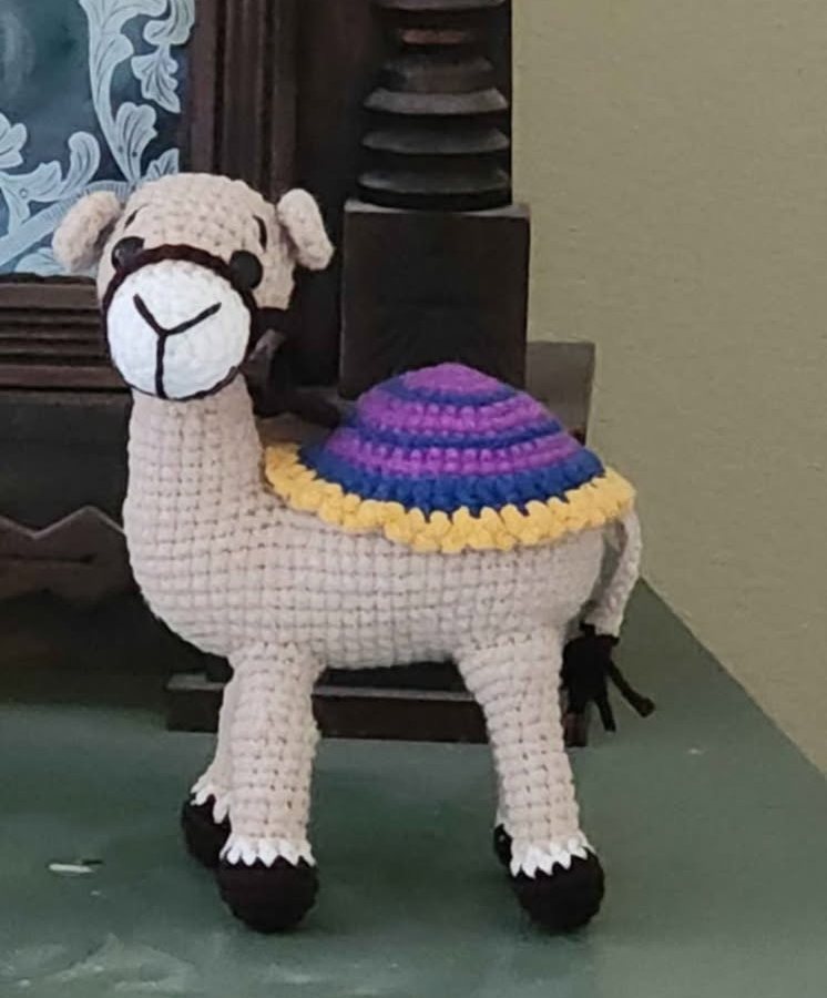 Camel