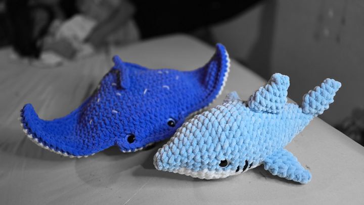 Ocean Friends
