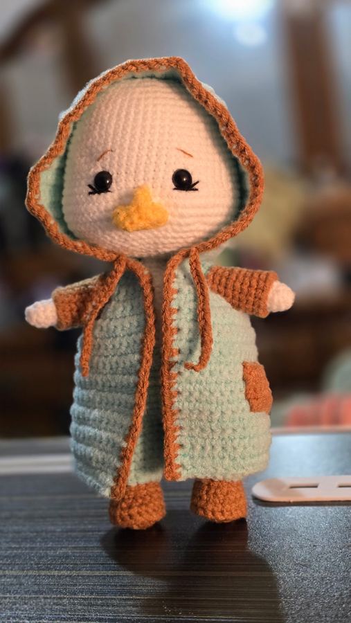 Rainy Day Duck